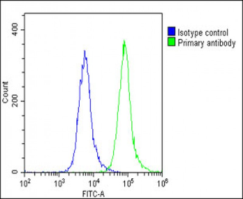 SCN1A Antibody (Center)