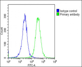 MYL1 Antibody (Center)