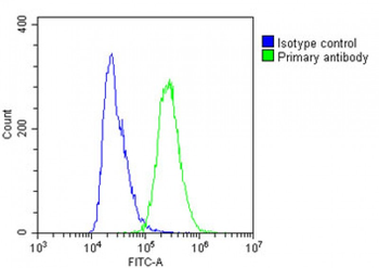 SEC24B Antibody (C-Term)