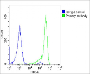 TCIRG1 Antibody (C-Term)
