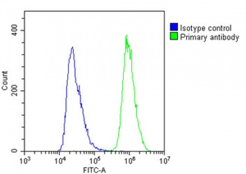 TAP2 Antibody (N-Term)