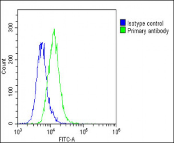 CKS2 Antibody (C-Term)