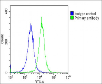 DLX1 Antibody (Center)