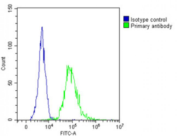 ST8SIA1 Antibody (N-Term)