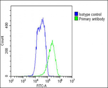 SLC7A8 Antibody (C-Term)