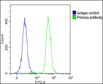 FAM125A Antibody (N-Term)