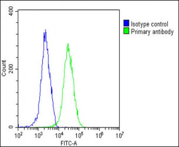 INTS3 Antibody (Center)