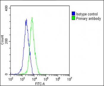 PKN1 Antibody (C-Term)
