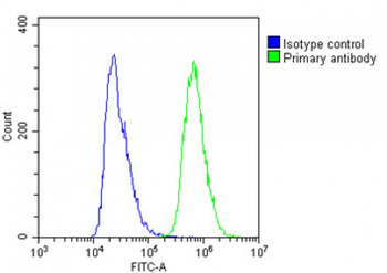 NSFL1C Antibody (Center)