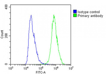 NSFL1C Antibody (N-Term)