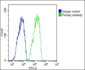 RARRES2 Antibody (Center)