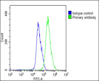 SULF1 Antibody (C-Term)
