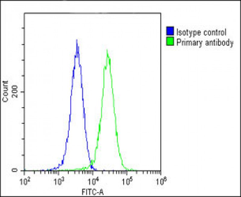 COPS7B Antibody (N-Term)