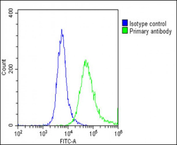 GNG3 Antibody (C-Term)