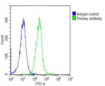 alpha Tubulin Antibody