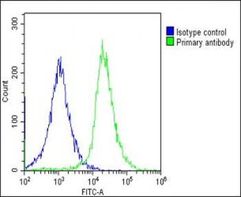 Cyclophilin D Antibody