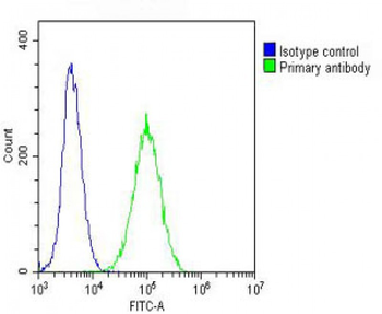 beta Tubulin Antibody