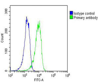 RYK Antibody