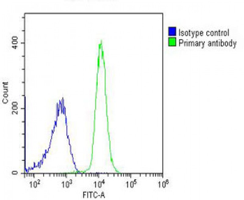 PIGC Antibody (C-Term)