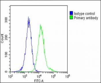 NUP93 Antibody (N-Term)