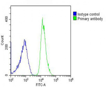 RPL4 Antibody (N-Term)