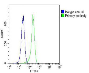MKRN2 Antibody