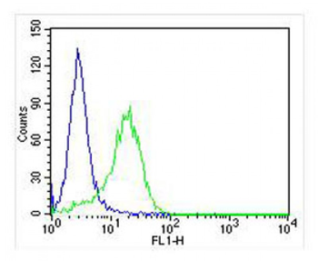 RAB3A Antibody