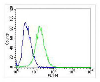 NGFR Antibody (C-term)