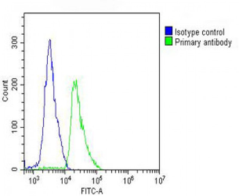 CCL17 Antibody