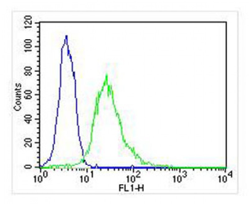 EEF1E1 Antibody