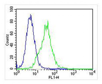 HINT1 Antibody