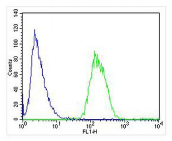 LRRK2 Antibody (C-term)