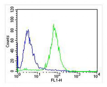 NTRK2 Antibody