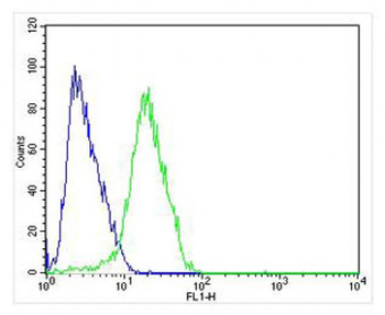 CHRM2 Antibody