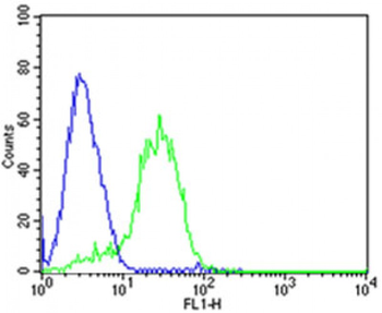 DLK1 Antibody (C-term)