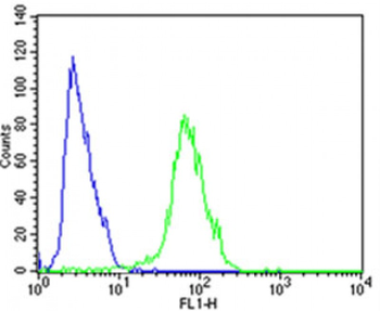 FGFR1 Antibody (Center)