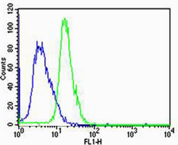 HTR1A Antibody (Center)