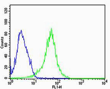 REG3A Antibody (C-term)