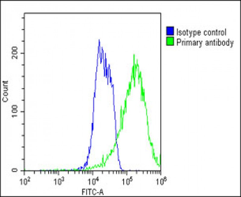 ADRA1D Antibody (N-term)