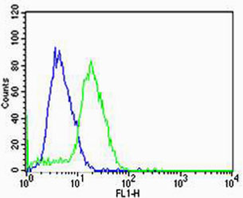 HBG2 Antibody (C-term)