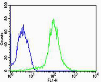 FBXL17 Isoform 2 Antibody (C-term)