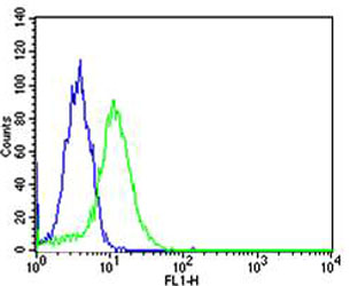 TOP1 Antibody (N-term)