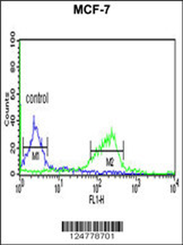 CI091 Antibody (C-term)