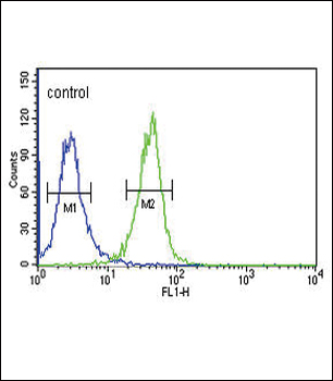 DNAJC6 Antibody (Center)