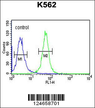 SPDYA Antibody (Center)