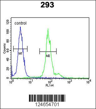 ID4 Antibody (N-term)