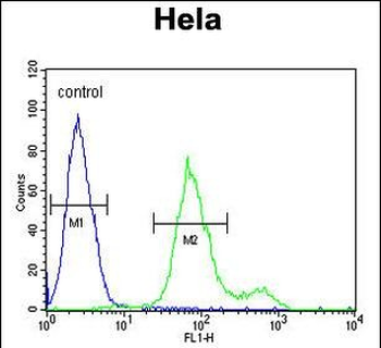 SUMF1 Antibody (C-Term)
