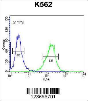 DLL4 Antibody (C-term)