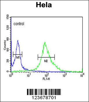 DDX49 Antibody (C-term)