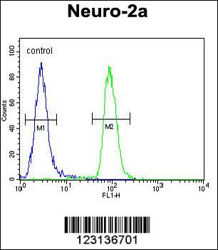CIRH1A Antibody (N-term)